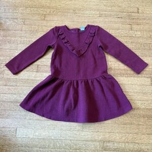 Janie and Jack Girls 2T Purple Textured Dot Long Sleeve Dress Ruffle V-Neck